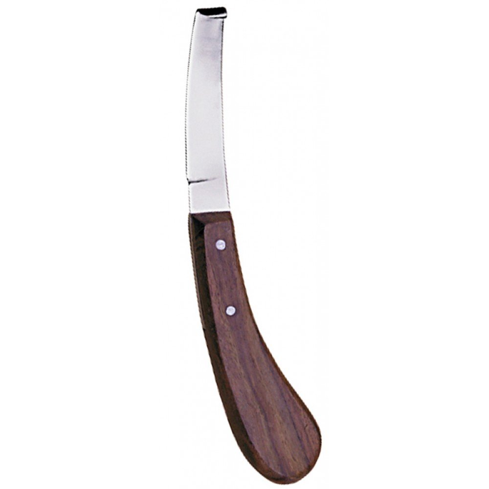 F Dick Ascot Hoof Knife – Workman International